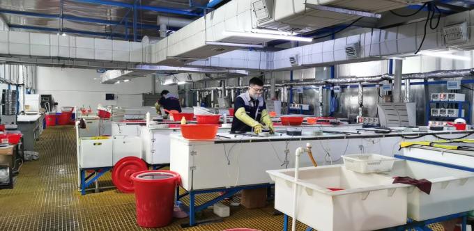 ZHENGZHOU JINCHUAN ABRASIVES CO., LTD. Γύρος εργοστασίων